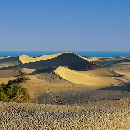 Apartament With Stunning View Maspalomas Dunes Playa del Inglés